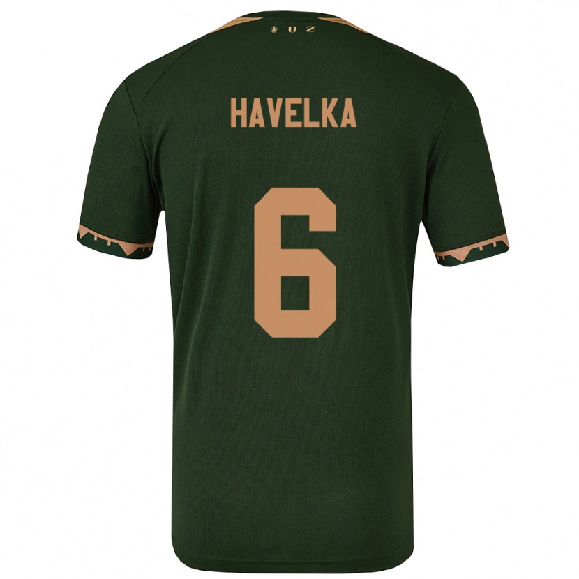 Danxen Dětské Matyas Havelka #6 Zelená Zlatá Daleko Hráčské Dresy 2025/26 Dres