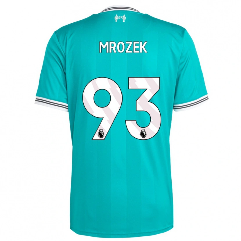 Danxen Pánské Fabian Mrozek #93 Zelená Bílá Třetí Hráčské Dresy 2025/26 Dres