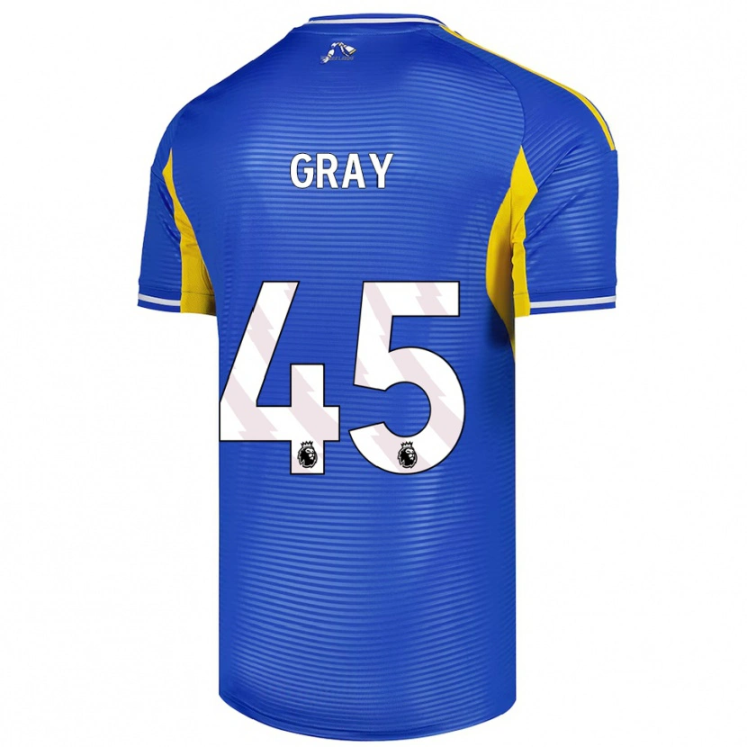 Danxen Dámské Harry Gray #45 Modrá Žlutá Daleko Hráčské Dresy 2025/26 Dres