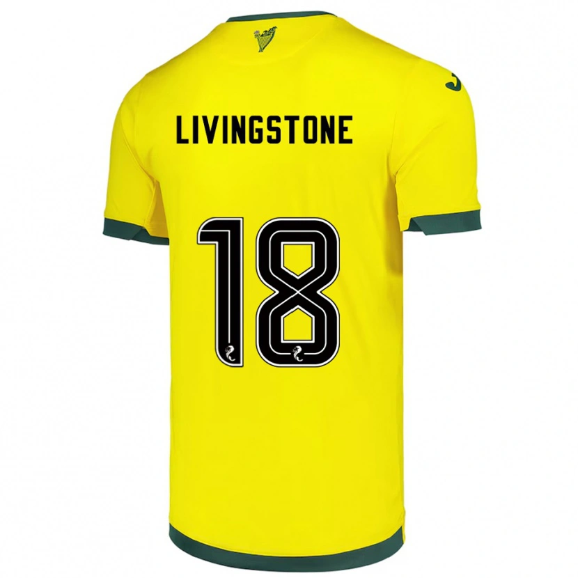 Danxen Dětské Rosie Livingstone #18 Žlutá Zelená Daleko Hráčské Dresy 2025/26 Dres