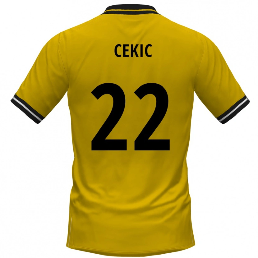 Danxen Dámské Adnan Cekic #22 Žlutá Černá Domů Hráčské Dresy 2025/26 Dres