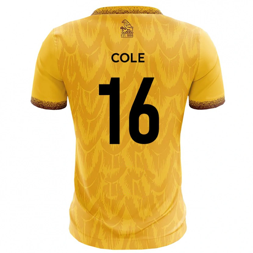 Danxen Dětské Harry Cole #16 Žlutá Hnědá Domů Hráčské Dresy 2025/26 Dres