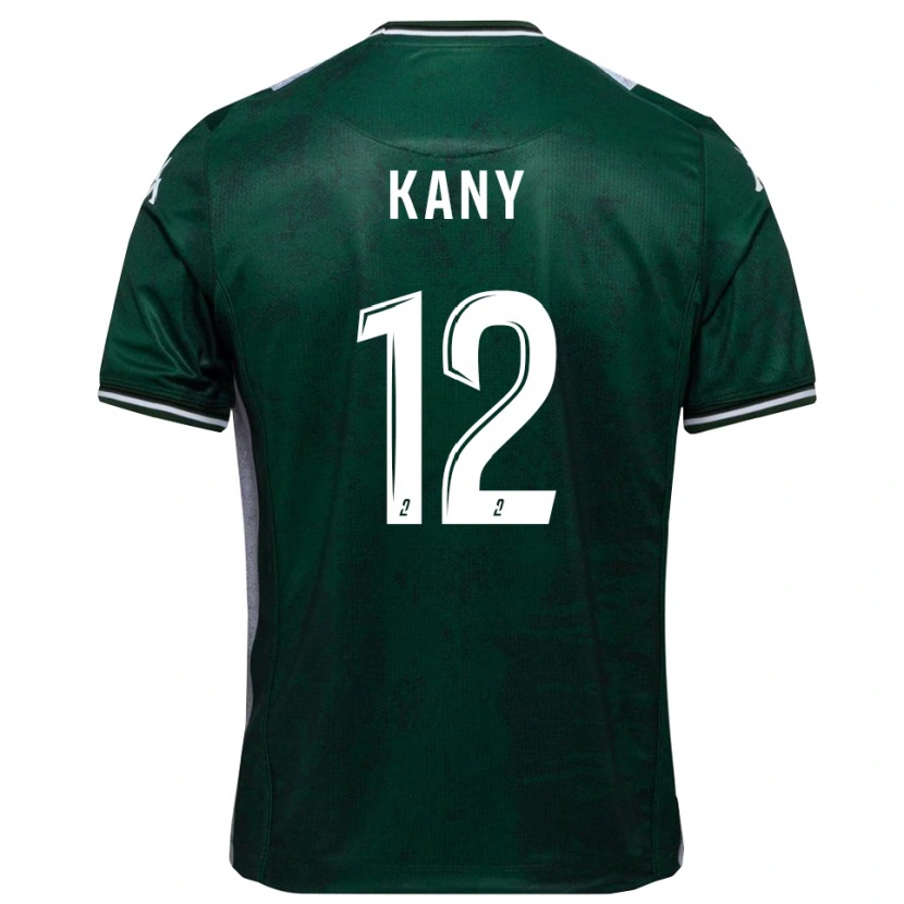 Danxen Dětské Vincent Kany #12 Zelená Bílá Domů Hráčské Dresy 2025/26 Dres