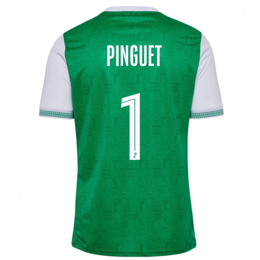 Danxen Pánské Alice Pinguet #1 Zelená Bílá Domů Hráčské Dresy 2025/26 Dres