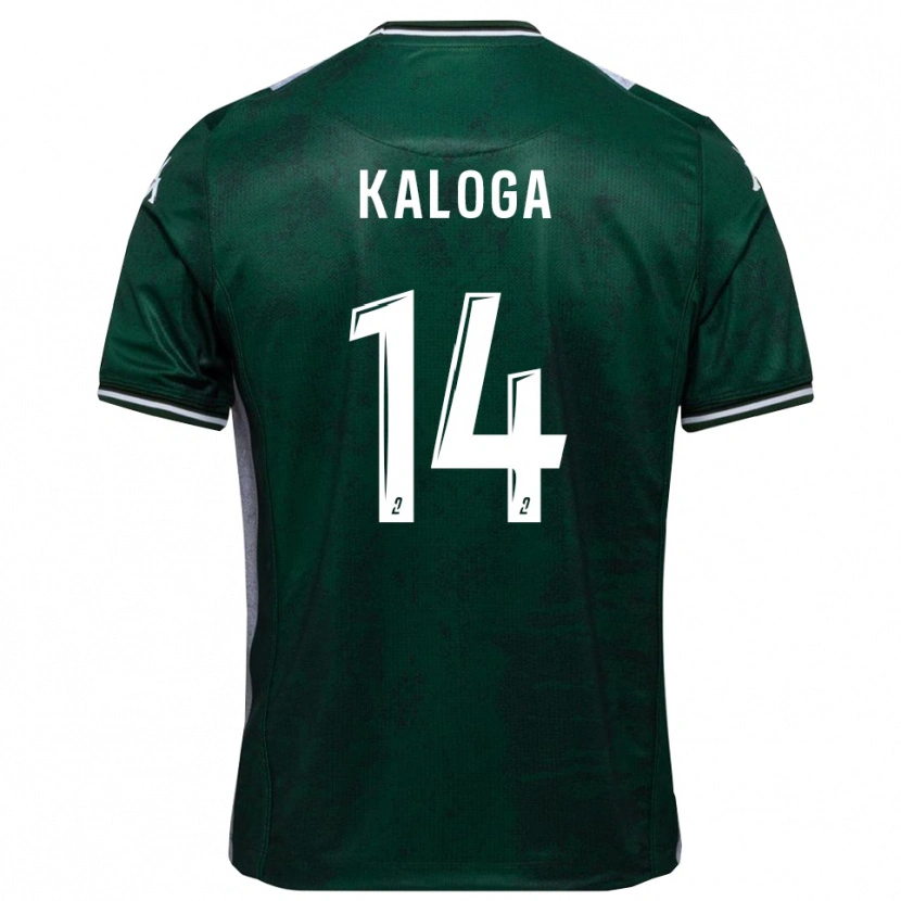 Danxen Pánské Amallah Kaloga #14 Zelená Bílá Domů Hráčské Dresy 2025/26 Dres