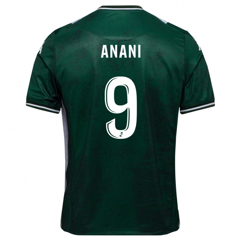 Danxen Pánské Achille Anani #9 Zelená Bílá Domů Hráčské Dresy 2025/26 Dres