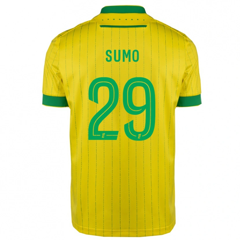 Danxen Dámské Eva Sumo #29 Žlutá Zelená Domů Hráčské Dresy 2025/26 Dres