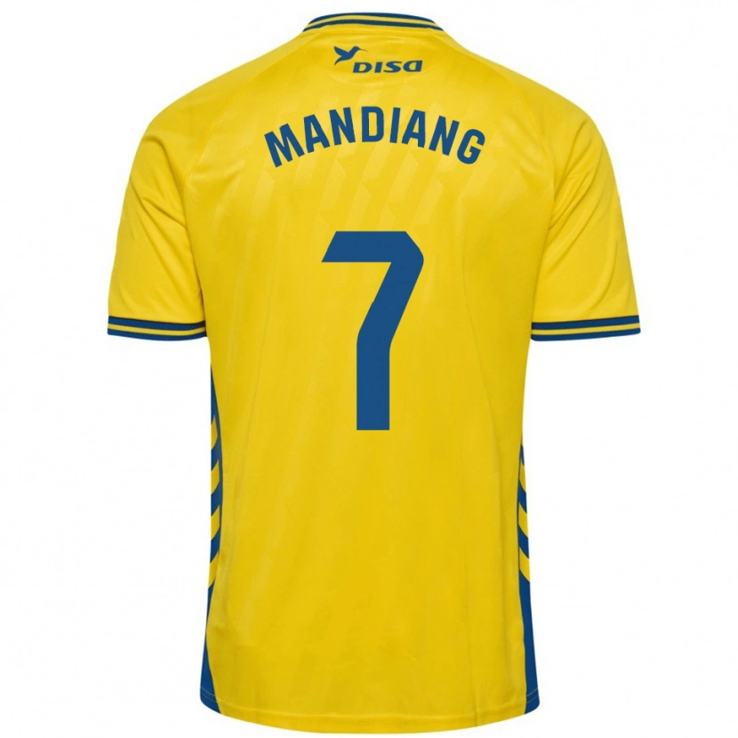 Danxen Dámské Saliou Mandiang #7 Žlutá Modrá Domů Hráčské Dresy 2025/26 Dres