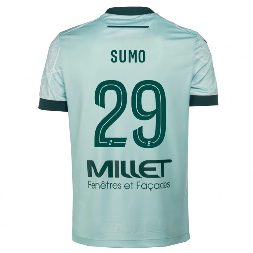 Danxen Dámské Eva Sumo #29 Zelená Bílá Daleko Hráčské Dresy 2025/26 Dres
