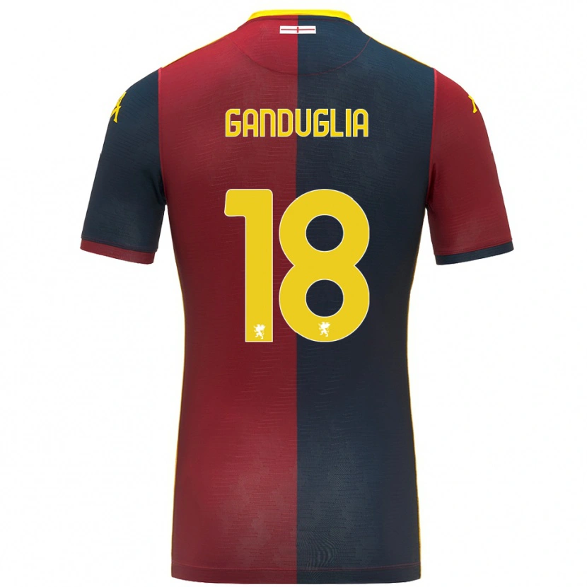 Danxen Pánské Luca Ganduglia #18 Červená Královská Modř Domů Hráčské Dresy 2025/26 Dres