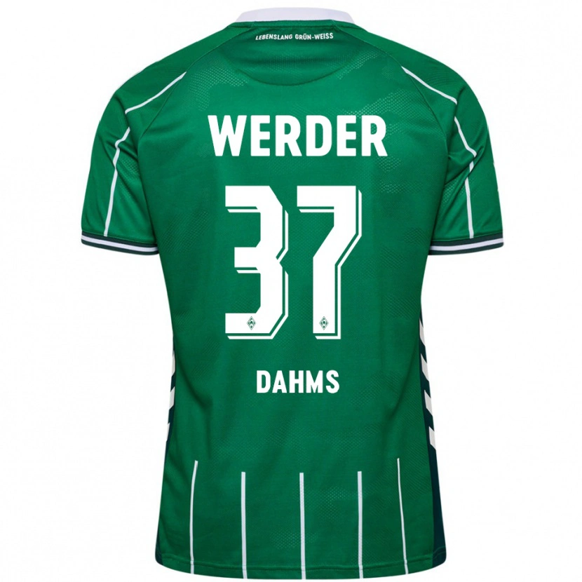 Danxen Pánské Lena Dahms #37 Zelená Bílá Domů Hráčské Dresy 2025/26 Dres
