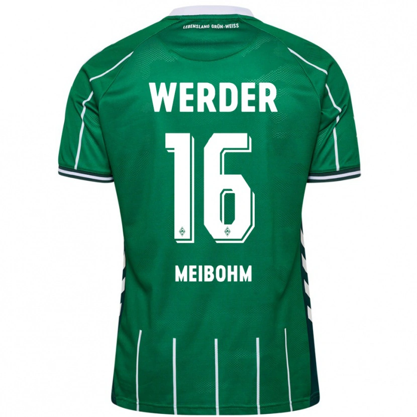 Danxen Pánské Joel Meibohm #16 Zelená Bílá Domů Hráčské Dresy 2025/26 Dres