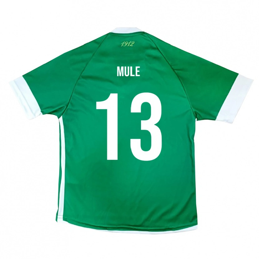 Danxen Dětské Erasmo Mulè #13 Zeleno-Bílá Domů Hráčské Dresy 2025/26 Dres