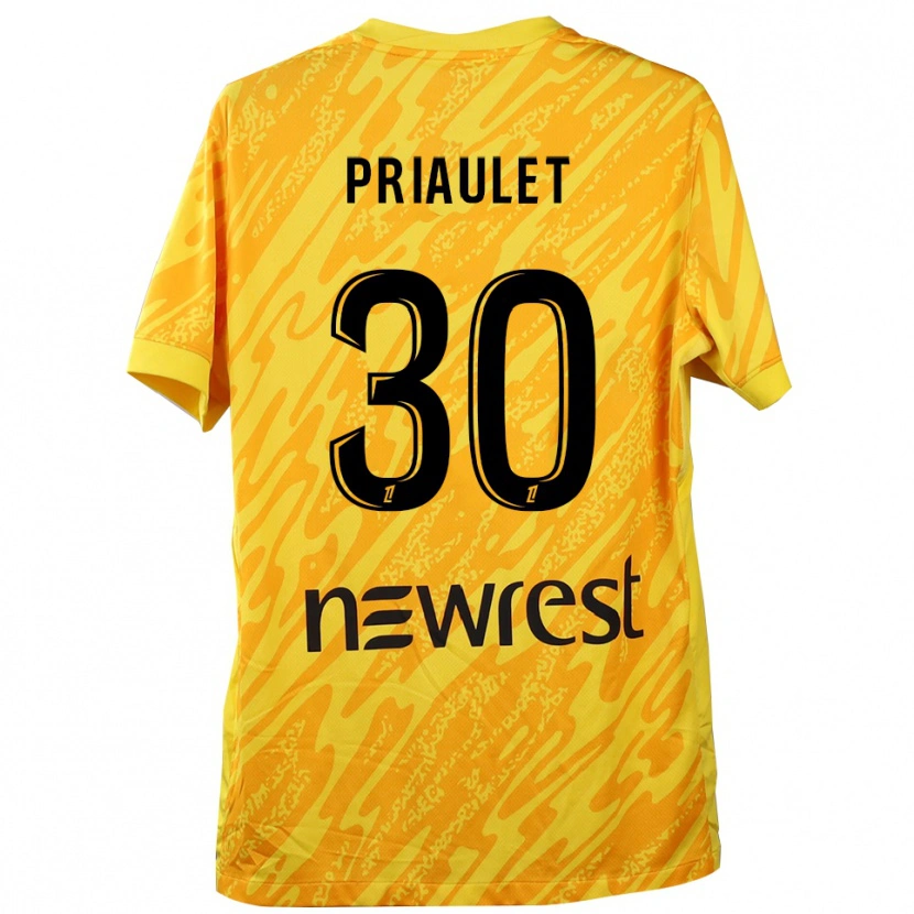 Danxen Pánské Anaïs Priaulet #30 Žlutá Černá Brankář Dresy 2025/26 Dres