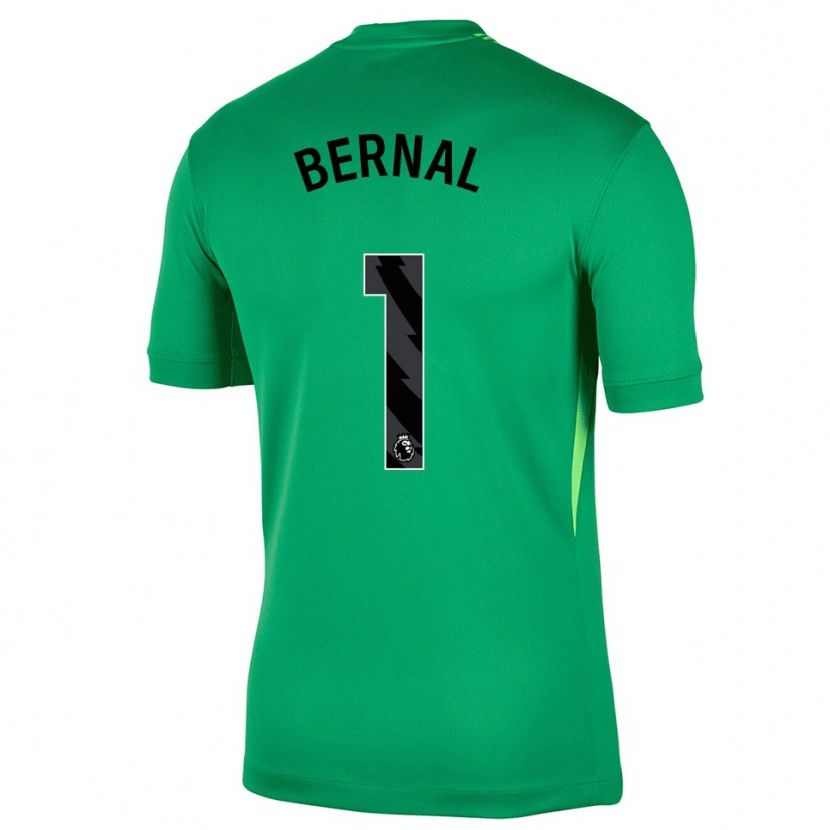 Danxen Pánské Freddy Bernal #1 Zelená Černá Brankář Dresy 2025/26 Dres