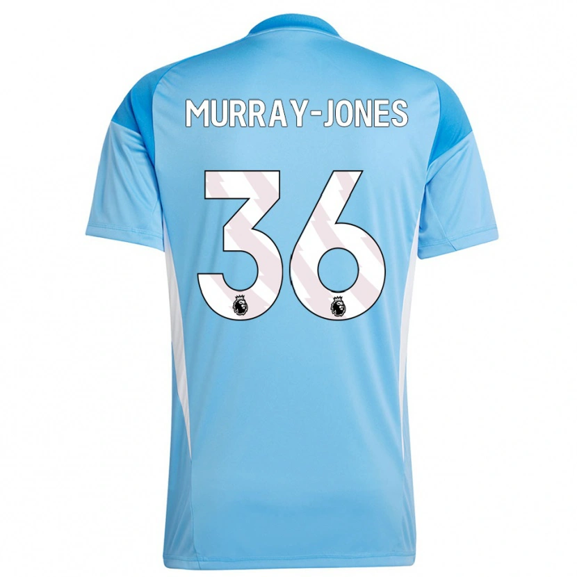 Danxen Pánské George Murray-Jones #36 Modrá Bílá Brankář Dresy 2025/26 Dres