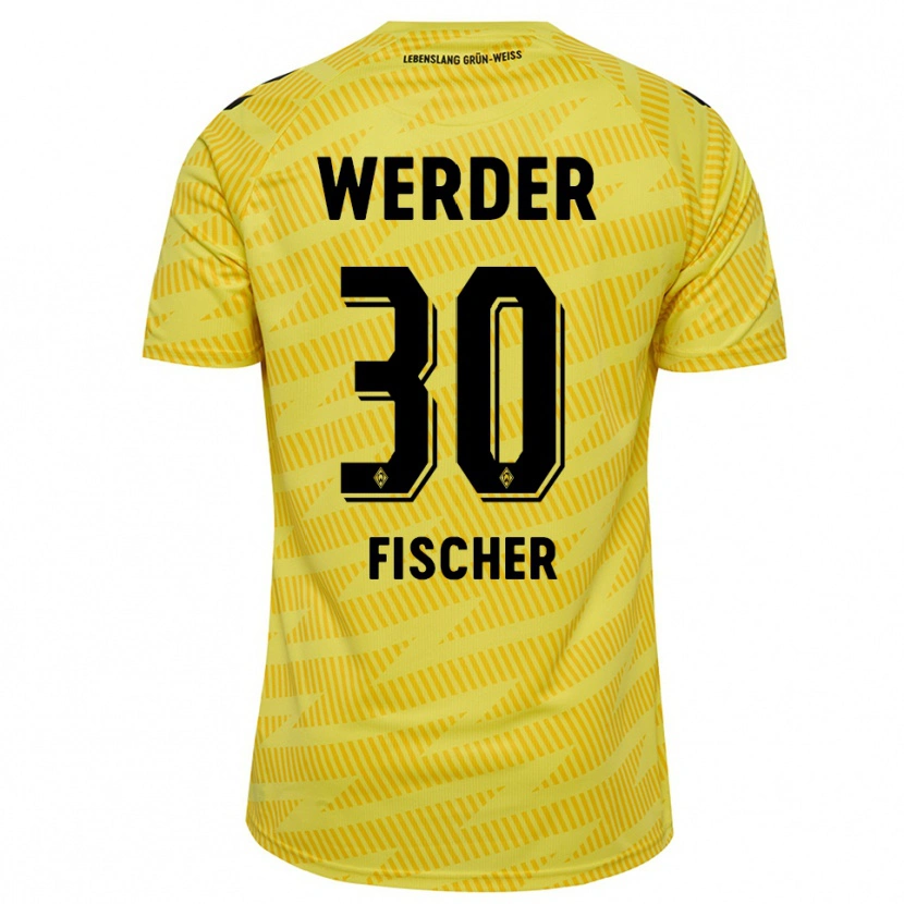 Danxen Pánské Vanessa Fischer #30 Žlutá Černá Brankář Dresy 2025/26 Dres
