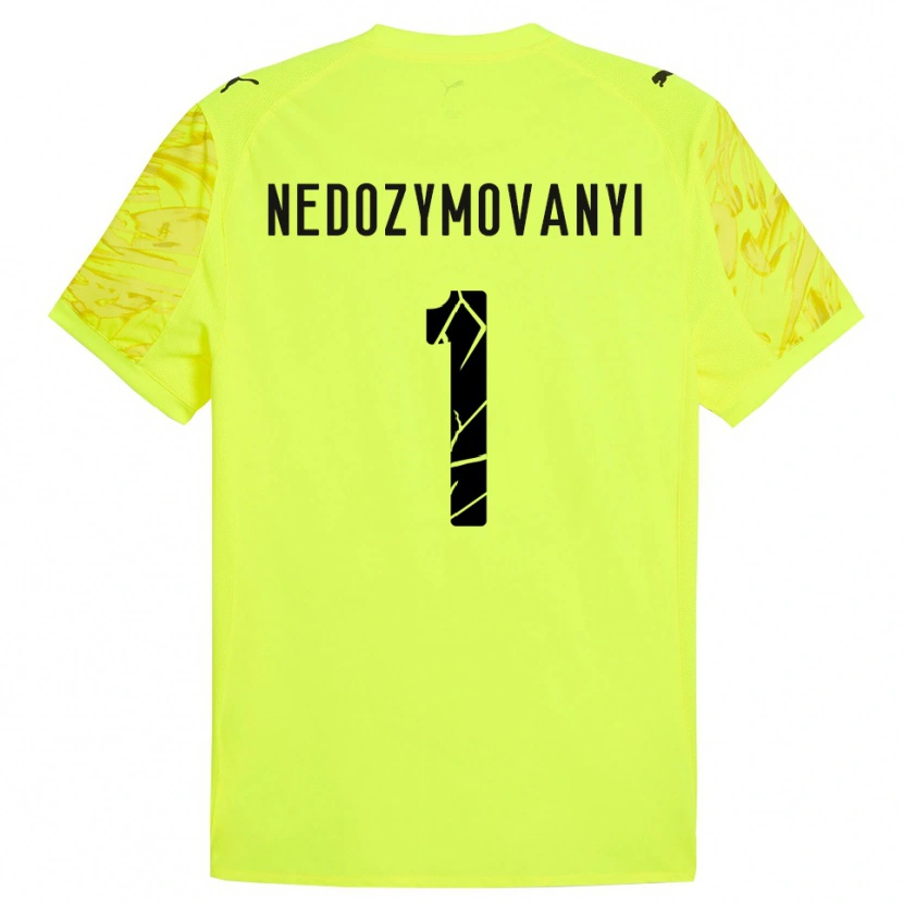 Danxen Pánské Artem Nedozymovanyi #1 Zelená Žlutá Brankář Dresy 2025/26 Dres