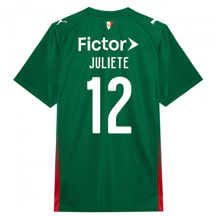 Danxen Dětské Juliete #12 Zelená Červená Bílá Domů Hráčské Dresy 2026/27 Dres