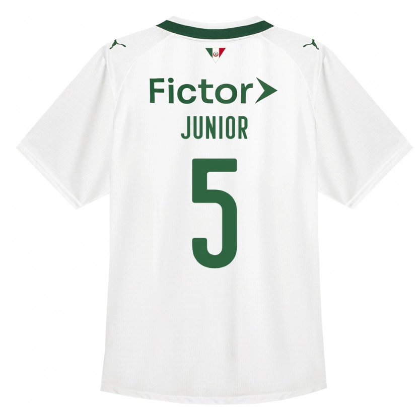 Danxen Dětské Amilton Junior #5 Zelená Bílá Daleko Hráčské Dresy 2026/27 Dres