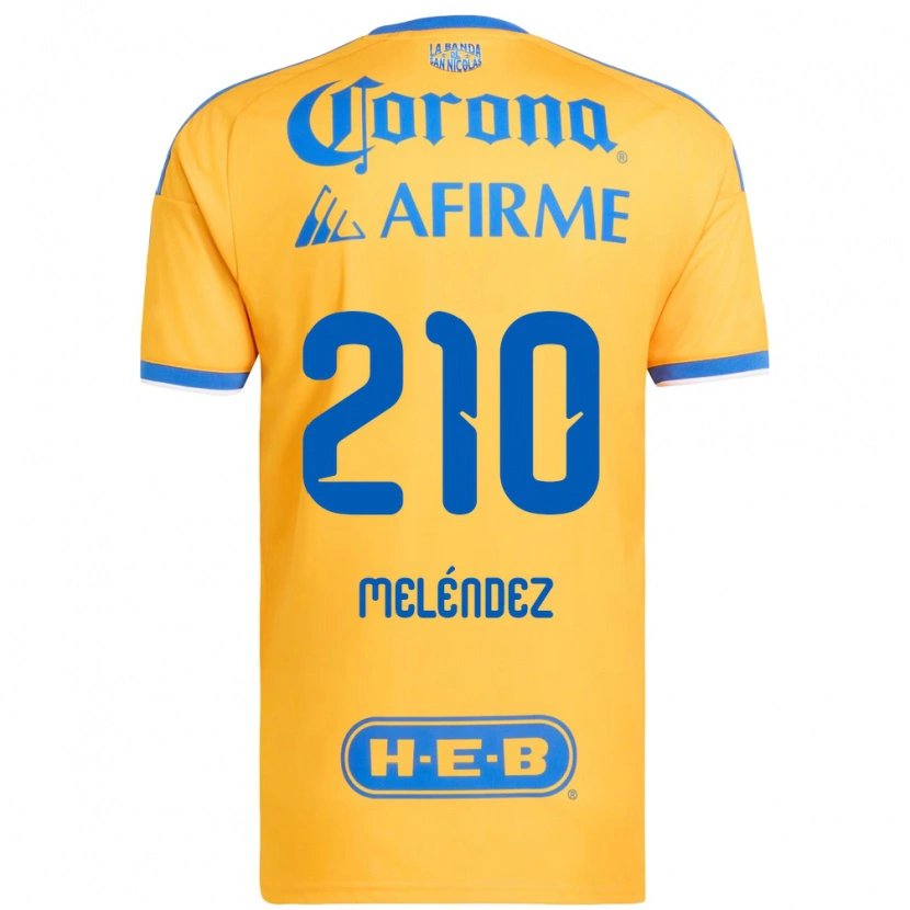 Danxen Dámské Marcelo Meléndez #210 Žlutá Modrá Domů Hráčské Dresy 2026/27 Dres