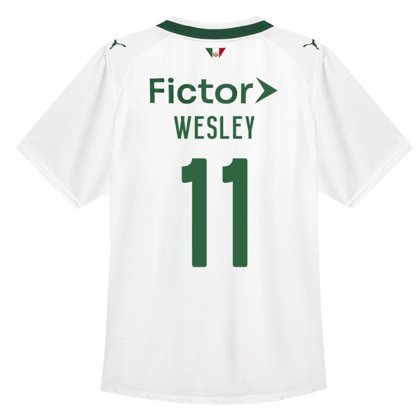 Danxen Dámské Wesley #11 Zelená Bílá Daleko Hráčské Dresy 2026/27 Dres