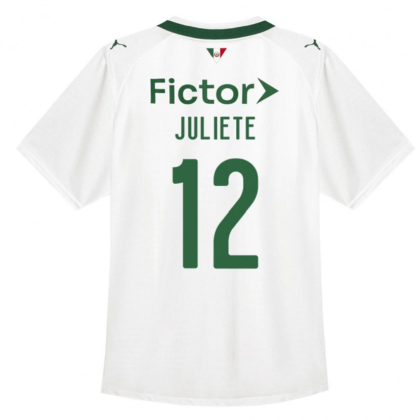 Danxen Dámské Juliete #12 Zelená Bílá Daleko Hráčské Dresy 2026/27 Dres