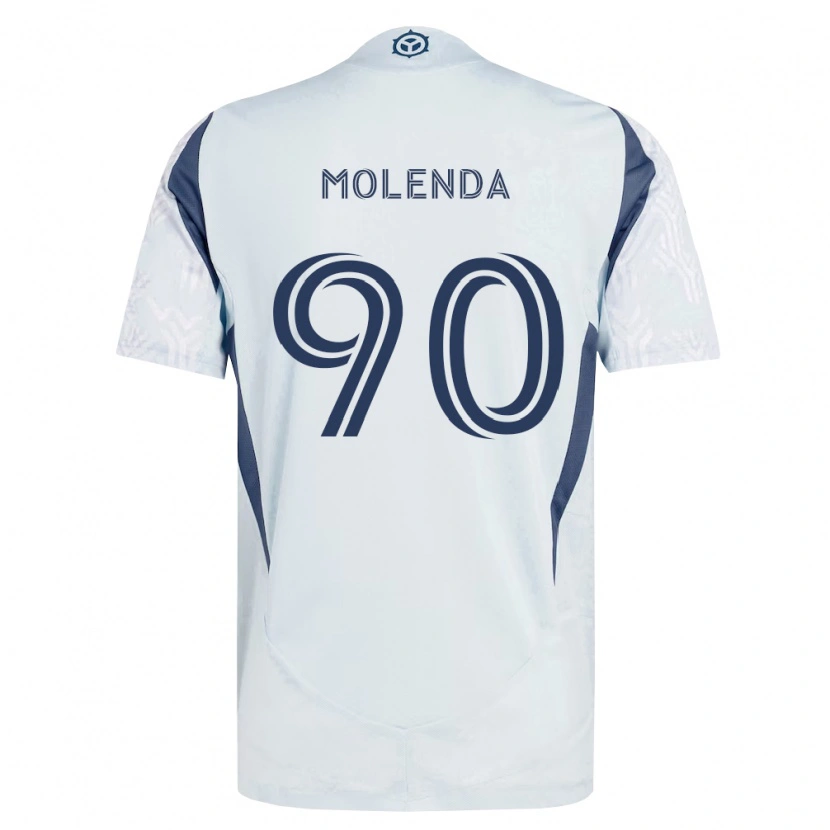 Danxen Pánské David Molenda #90 Modrá Šedá Bílá Daleko Hráčské Dresy 2026/27 Dres