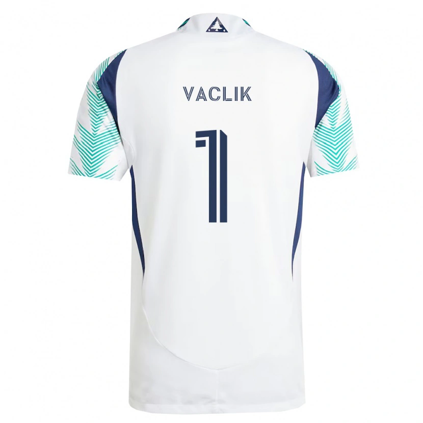Danxen Pánské Tomas Vaclik #1 Bílá Tmavě Modrá Světle Zelená Daleko Hráčské Dresy 2026/27 Dres