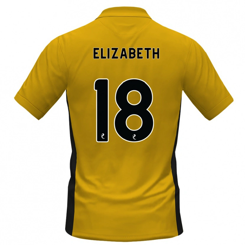 Danxen Dětské Ashley Elizabeth #18 Oranžová Černá Domů Hráčské Dresy 2026/27 Dres