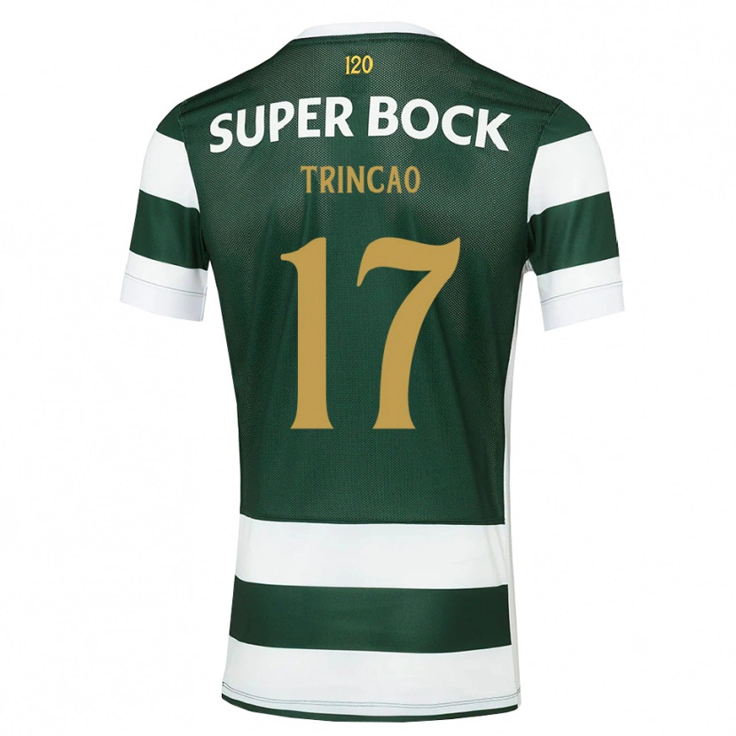 Danxen Pánské Trincão #17 Tmavě Břidlicově Šedá Bílá Domů Hráčské Dresy 2026/27 Dres