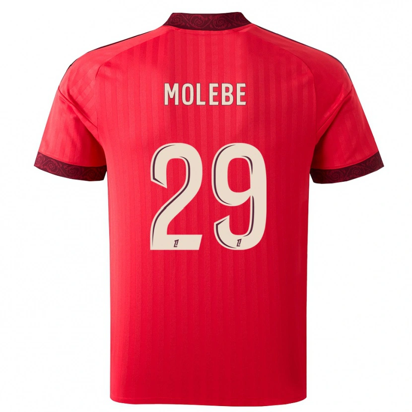 Danxen Dámské Enzo Molebe #29 Vínová Červená Bílá Daleko Hráčské Dresy 2026/27 Dres