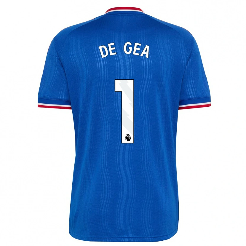 Danxen Dětské David De Gea #1 Modrá Bílá Červená Daleko Hráčské Dresy 2026/27 Dres