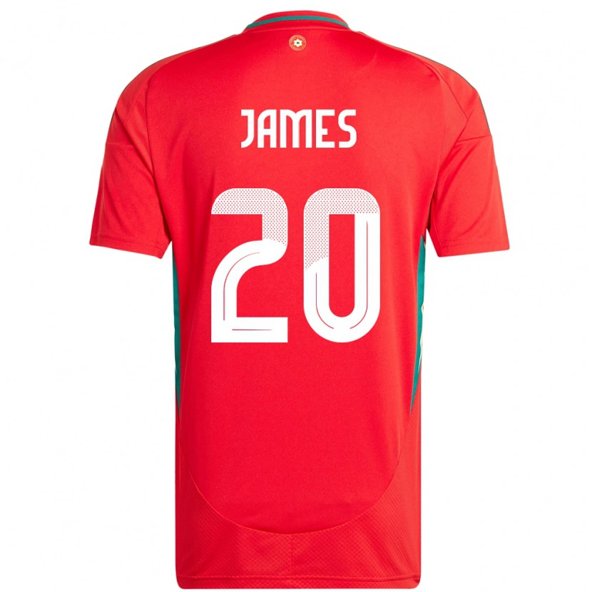 Danxen Dětské Wales Daniel James #20 Červený Domů Hráčské Dresy 24-26 Dres