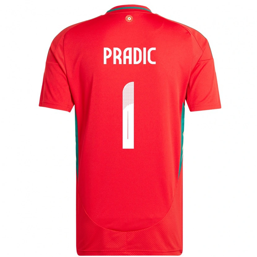 Danxen Dětské Wales James Pradic #1 Červený Domů Hráčské Dresy 24-26 Dres