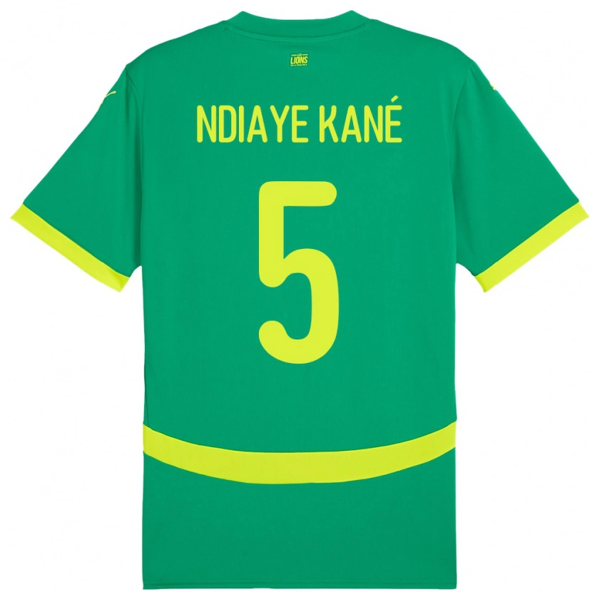Danxen Dětské Senegal Ndeye Ndiaye Kane #5 Zelený Daleko Hráčské Dresy 24-26 Dres