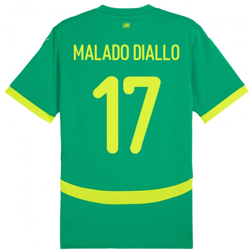 Danxen Dětské Senegal Hapsatou Malado Diallo #17 Zelený Daleko Hráčské Dresy 24-26 Dres