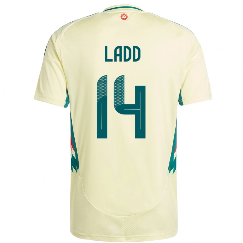 Danxen Dětské Wales Hayley Ladd #14 Béžově Žlutá Daleko Hráčské Dresy 24-26 Dres