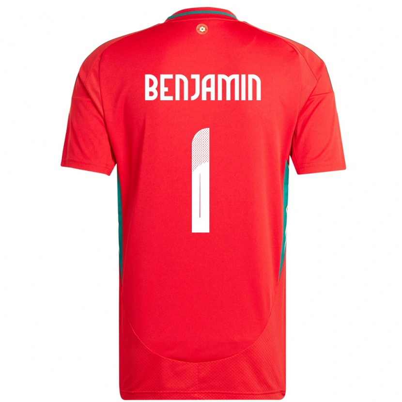 Danxen Pánské Wales Lewys Benjamin #1 Červený Domů Hráčské Dresy 24-26 Dres