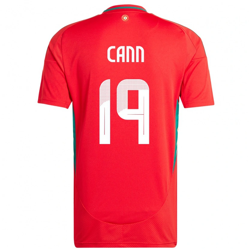Danxen Pánské Wales Ethan Cann #19 Červený Domů Hráčské Dresy 24-26 Dres