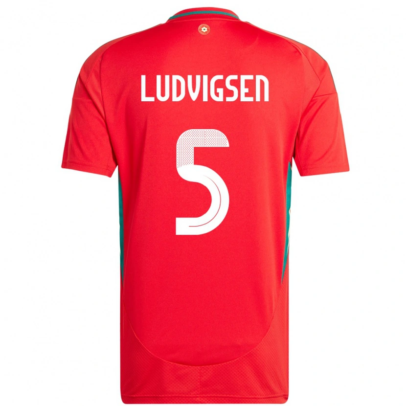 Danxen Pánské Wales Kai Ludvigsen #5 Červený Domů Hráčské Dresy 24-26 Dres