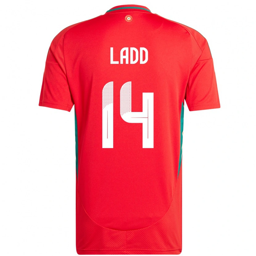 Danxen Pánské Wales Hayley Ladd #14 Červený Domů Hráčské Dresy 24-26 Dres