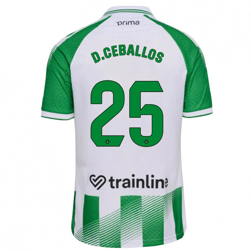 Danxen Pánské Dani Ceballos #25 Světle Zelená Černá Bílá Domů Hráčské Dresy 2026/27 Dres