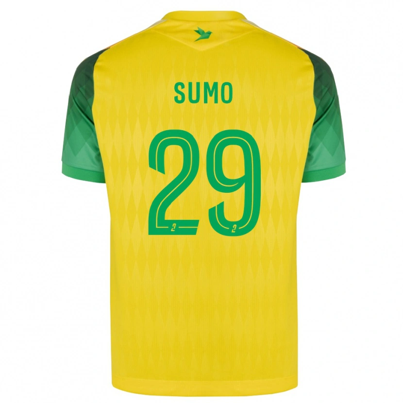Danxen Dětské Eva Sumo #29 Žlutá Zelená Červená Domů Hráčské Dresy 2026/27 Dres