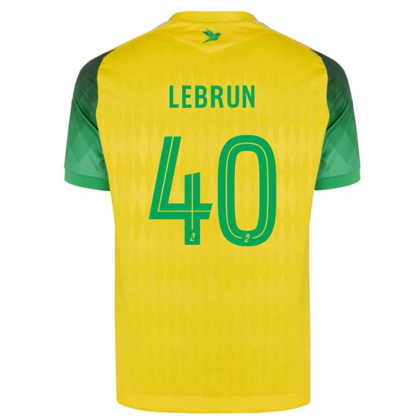 Danxen Pánské Lisa Lebrun #40 Žlutá Zelená Červená Domů Hráčské Dresy 2026/27 Dres
