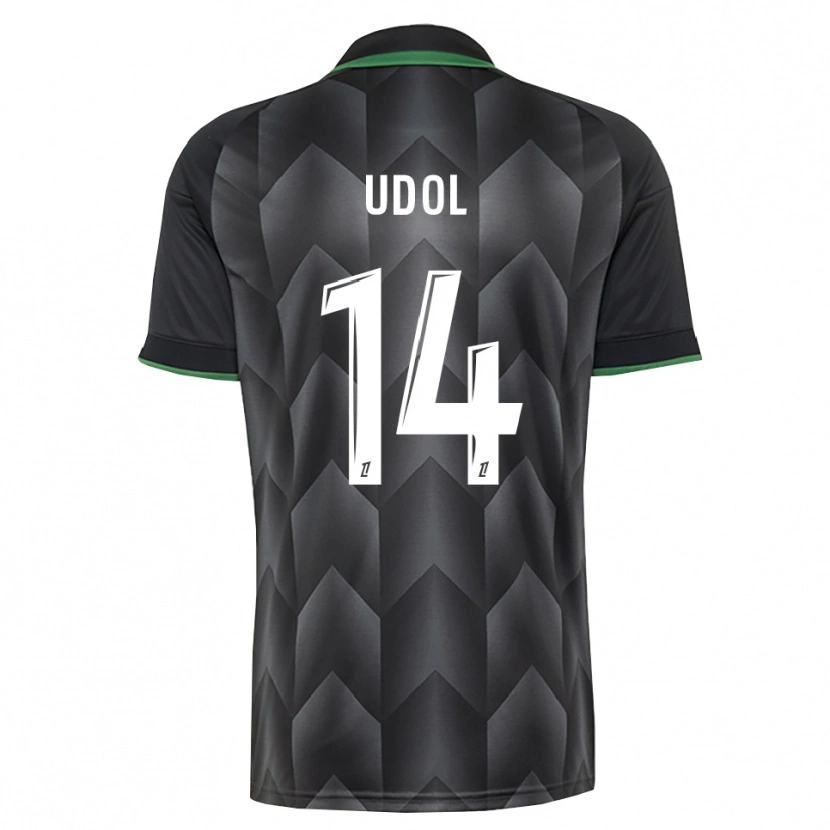 Danxen Pánské Matthieu Udol #14 Bílá Černá Zelená Daleko Hráčské Dresy 2026/27 Dres