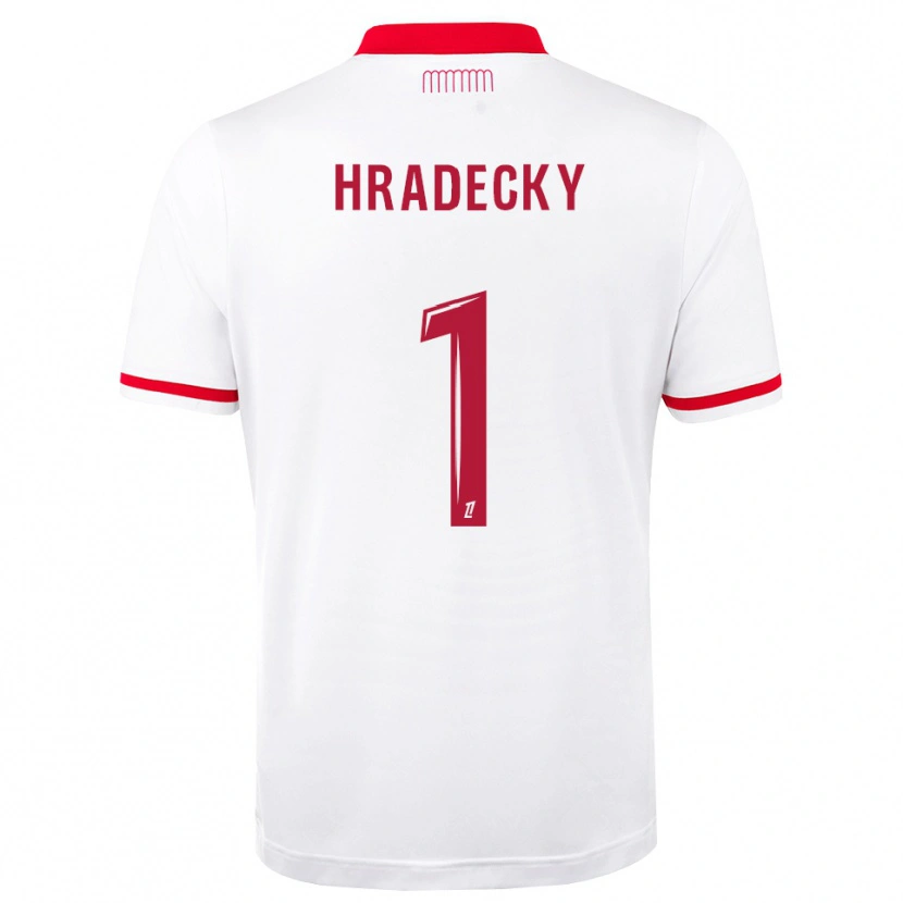 Danxen Dámské Lukas Hradecky #1 Červená Bílá Domů Hráčské Dresy 2026/27 Dres