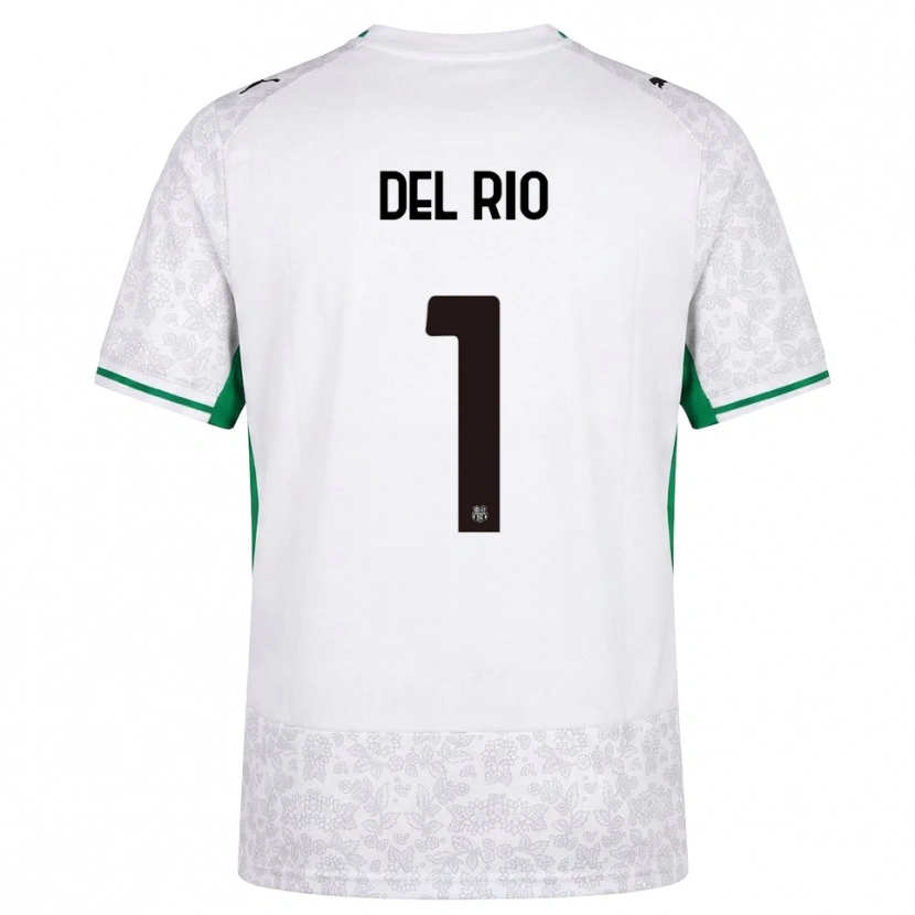 Danxen Dámské Davide Del Rio #1 Bílá Černá Zelená Daleko Hráčské Dresy 2026/27 Dres