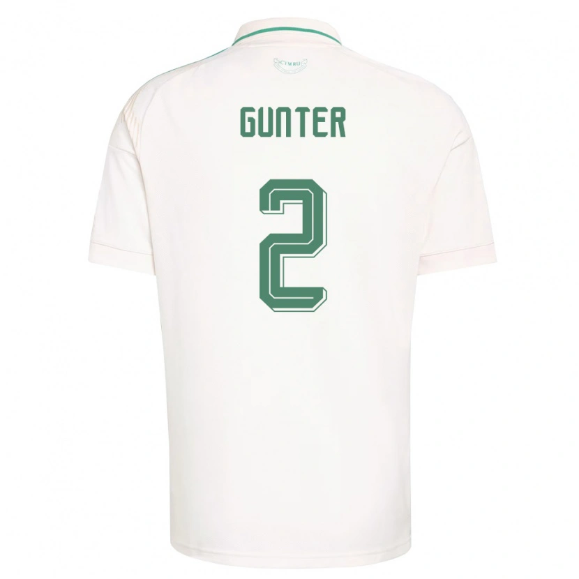Danxen Dětské Wales Chris Gunter #2 Bílá Hnědá Zelená Daleko Hráčské Dresy 26-28 Dres