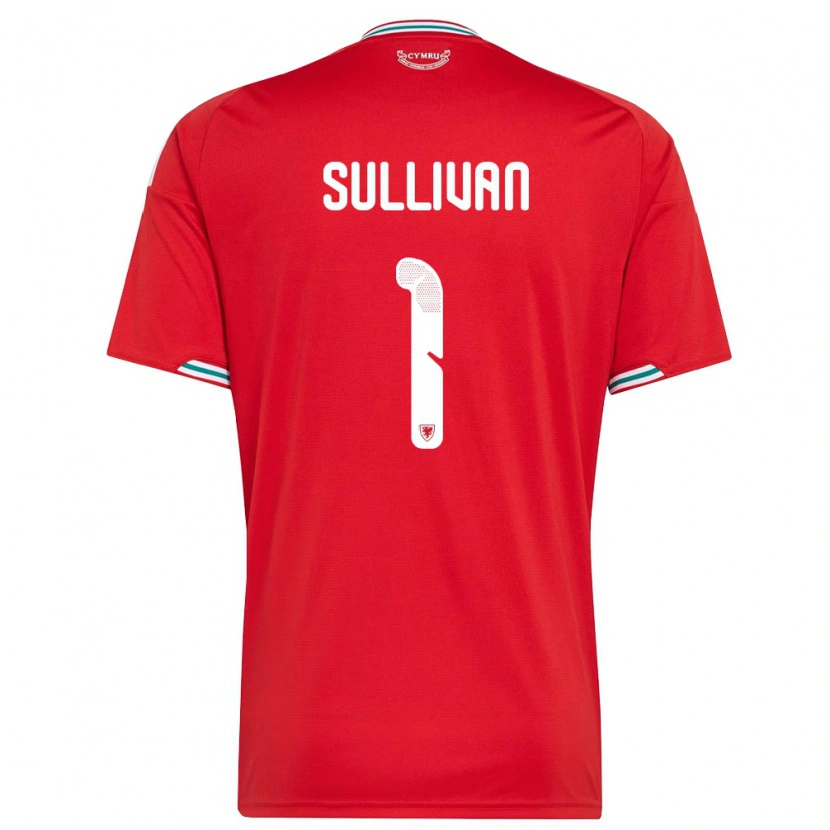 Danxen Pánské Wales Laura O Sullivan #1 Červená Bílá Zelená Domů Hráčské Dresy 26-28 Dres